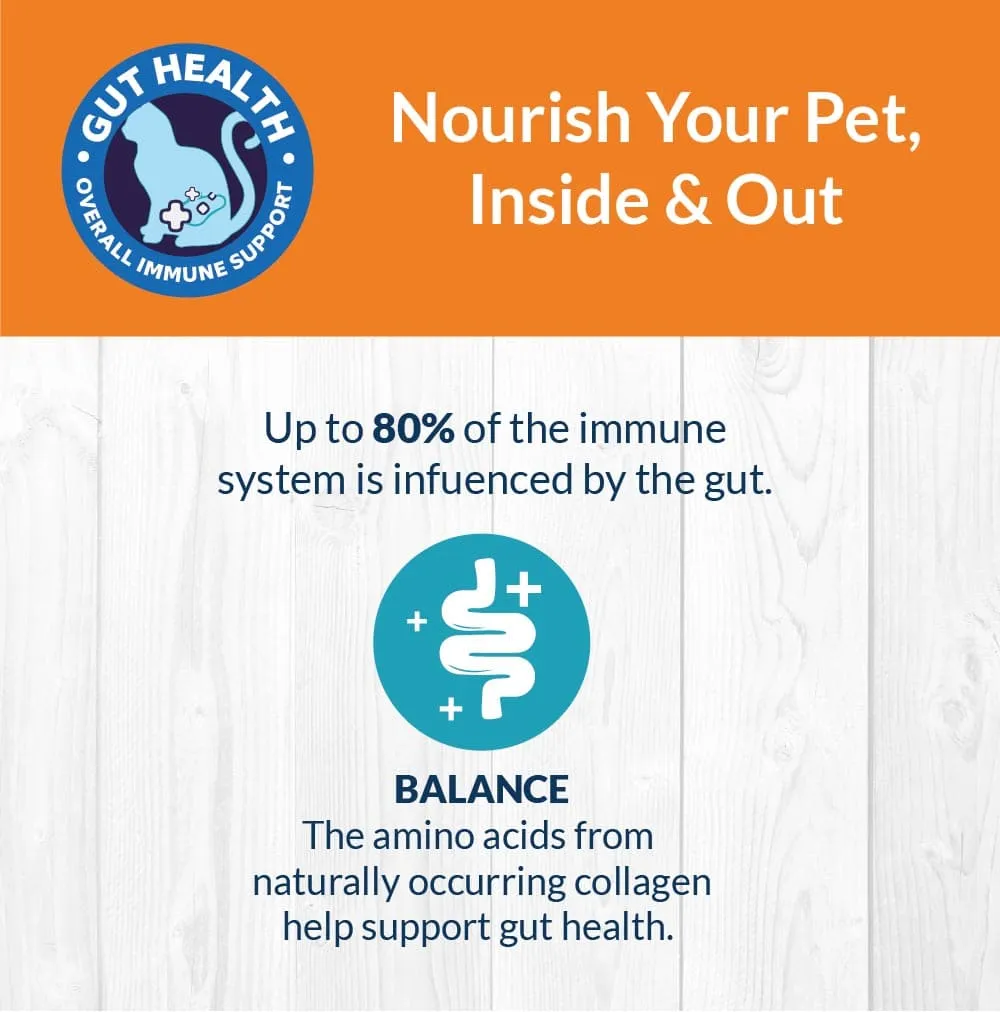 Goofy Tails  Bone Broth for Cats (Value Pack 9 1)